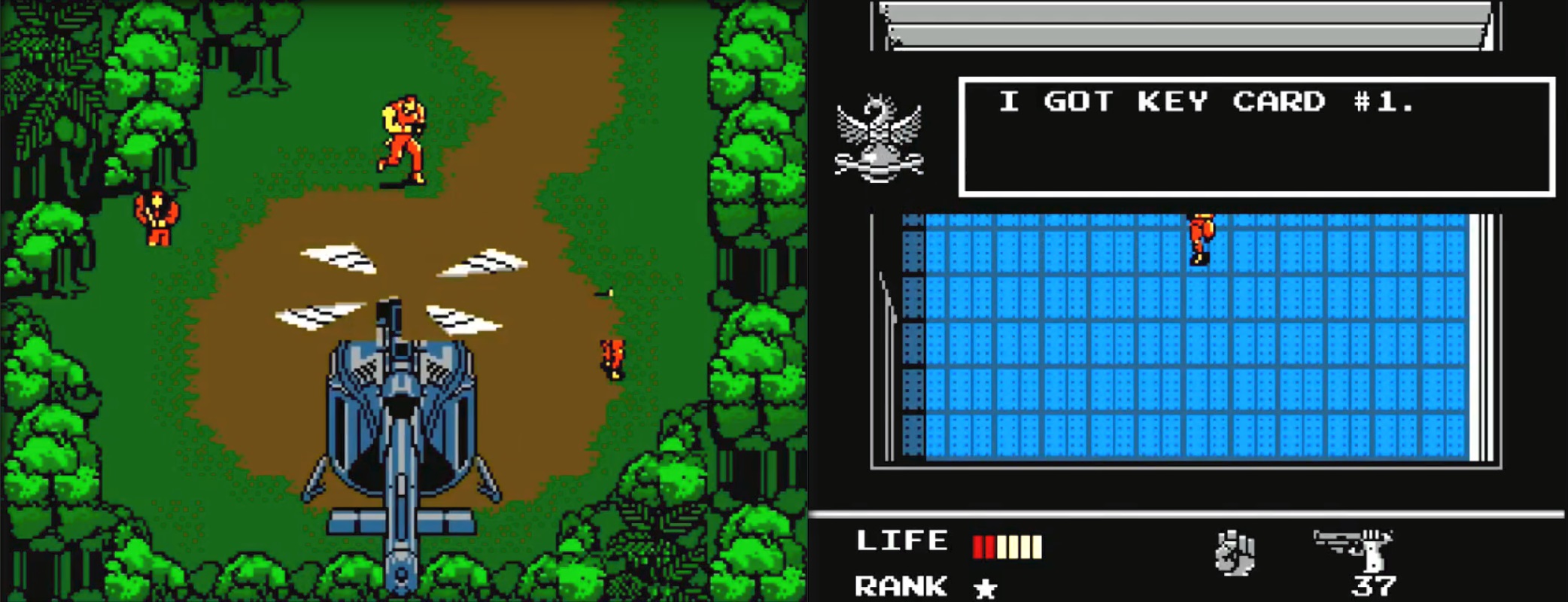 Snakes revenge glitch