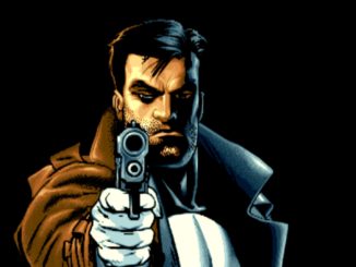 The punisher gry